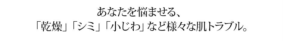 あなたを悩ませる「乾燥」「シミ」「小じわ」など様々な肌トラブル。