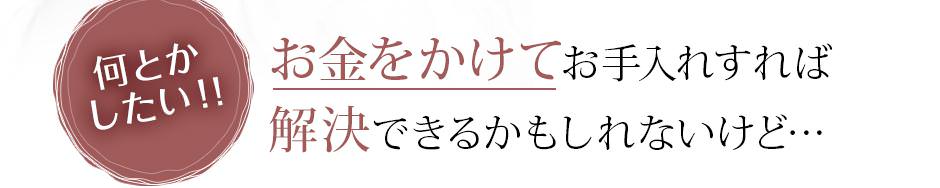 お金をかけてお手入れをすれば解決できるかもしれないけれど・・・