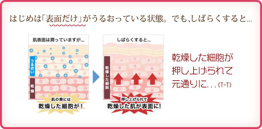 はじめは「表面だけ」がうるおっている状態、でも、油断して手を抜くと乾燥した細胞が押し上げられて元通りに・・・